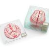 Brain coasters