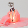 skeleton of cat and candle