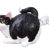 cat butt tissue holder