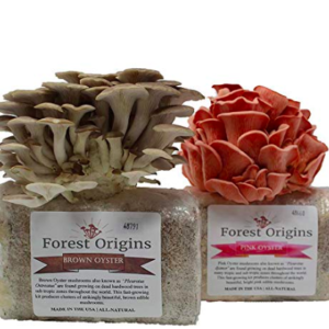 home mushroom farm kit