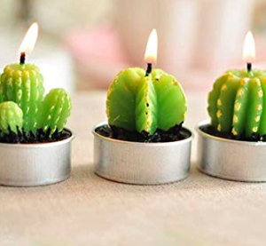 cactus tea light candles