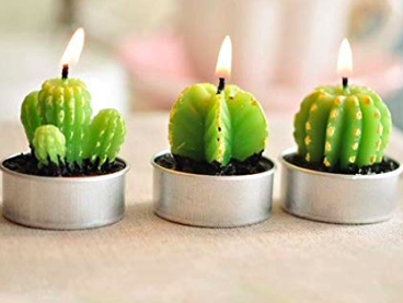 cactus tea light candles