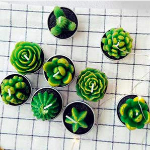 cactus tea light candles