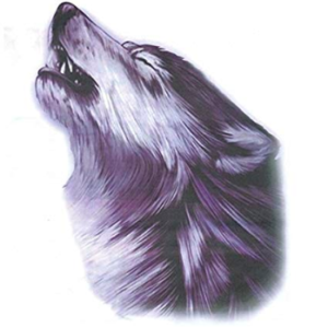fake wolf tattoo