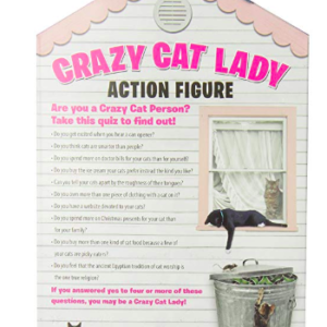 crazy cat lady box action figure
