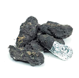 owl vomit