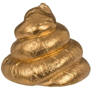 mini golden poo