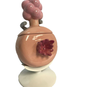 plumbus x rick and morty