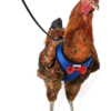 Cock Harness