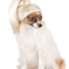 wigs for dogs