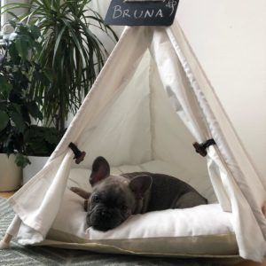 Teepee dog on sale bed
