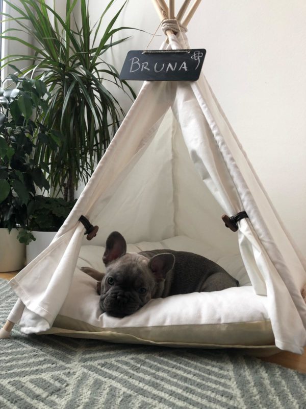 Dog Teepee