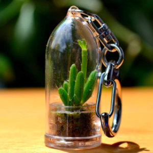 Terrarium keyring sale