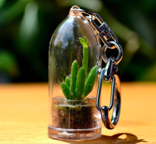 Mini Terrarium Keychain - Useless Things Buy!