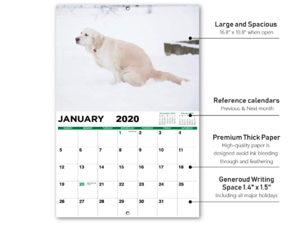 pooping dogs calender 2020