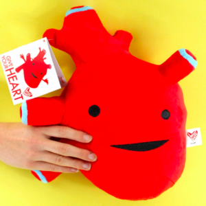 anatomical heart plush