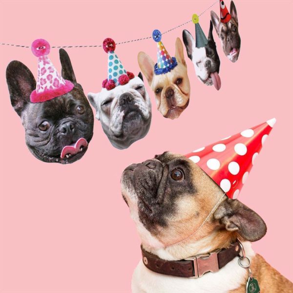 french bulldog birthday hat garland