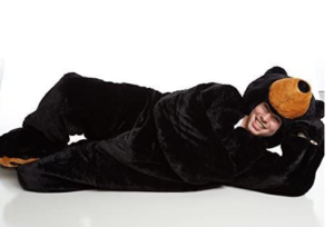 teddy bear sleeping bag and bed