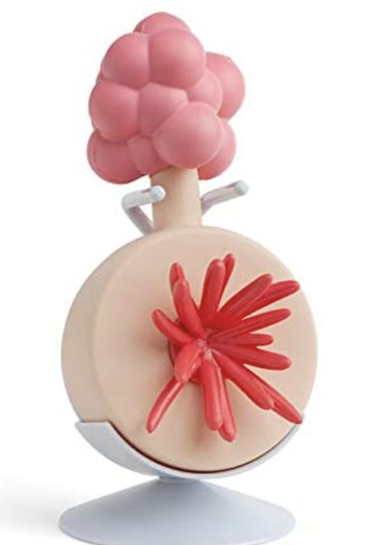 Plumbus For Sale Useless Things To Buy 