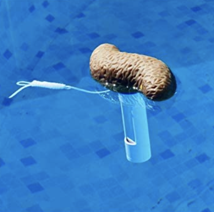 floating-poop-pool-thermometer-useless-things-to-buy