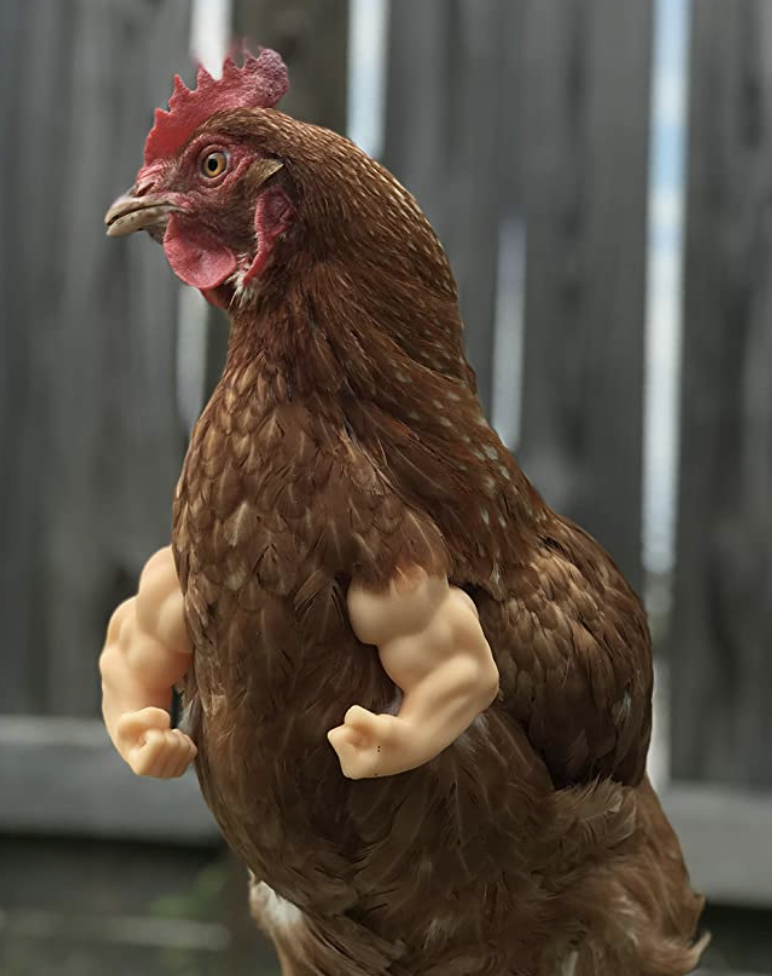 NEW Muscle Chicken Arms Gag Chicken Arms For Chicken to Gift Muscle wear  Arms