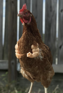 t rex arms on chickens